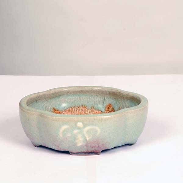 明正　盆栽鉢 盆栽鉢 「憲窯蕎麦釉六角鉢」 植木鉢 辻憲昌 ケンヨウ 色鉢 陶器