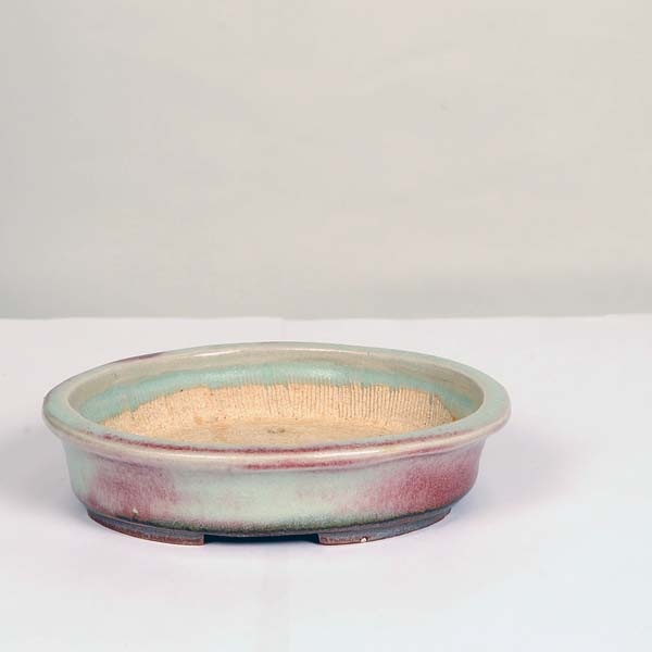 現代小鉢：平安虹泉 楕円鉢 15.7cm | すべての商品 | 遊恵盆栽 本店