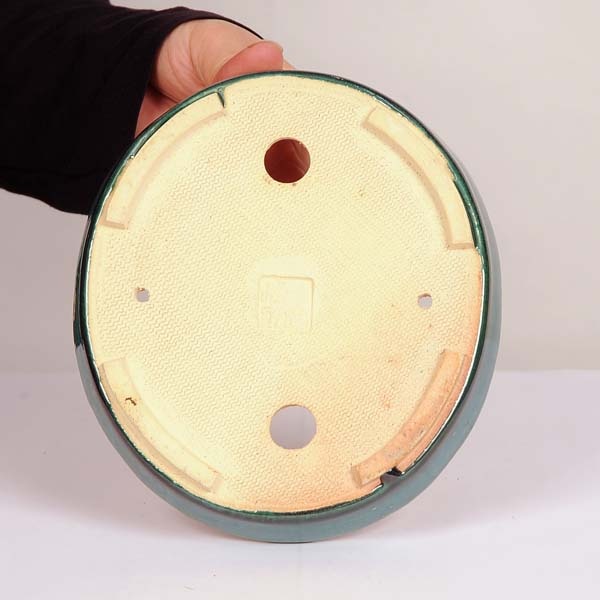 現代小鉢：平安虹泉 楕円鉢 17.0cm | すべての商品 | 遊恵盆栽 本店