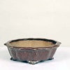 盆栽鉢・水盤,現代小鉢,平安虹泉 | 遊恵盆栽 本店