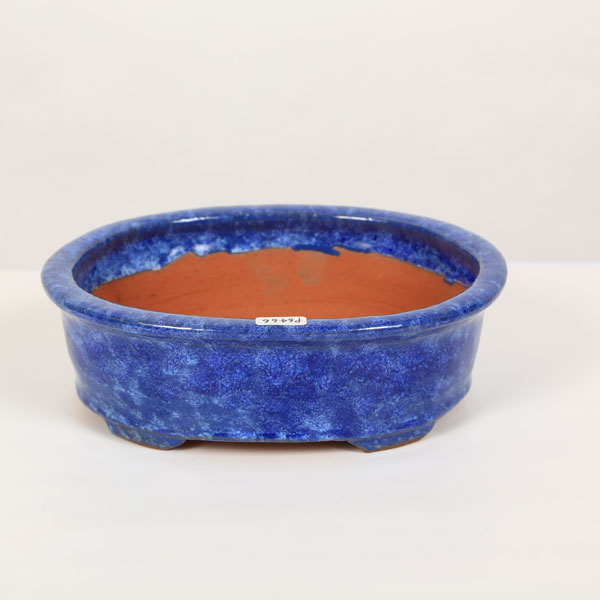 常滑作家：秀峰(しゅうほう) 楕円鉢 19.7cm【現】 | すべての商品