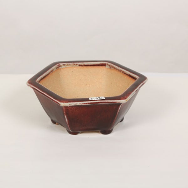 現代小鉢：樹晃 六角鉢 16.5cm【現】 | すべての商品 | 遊恵盆栽 本店
