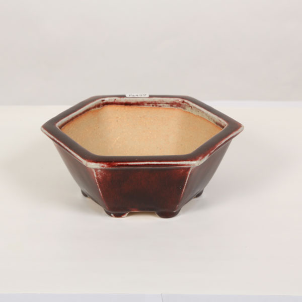 樹晃　正方　盆栽鉢 盆栽鉢 常滑 晃 9 樹晃 鴻陽陶園 小型 長辺 約16.2cm 長方鉢 隅入 雲足