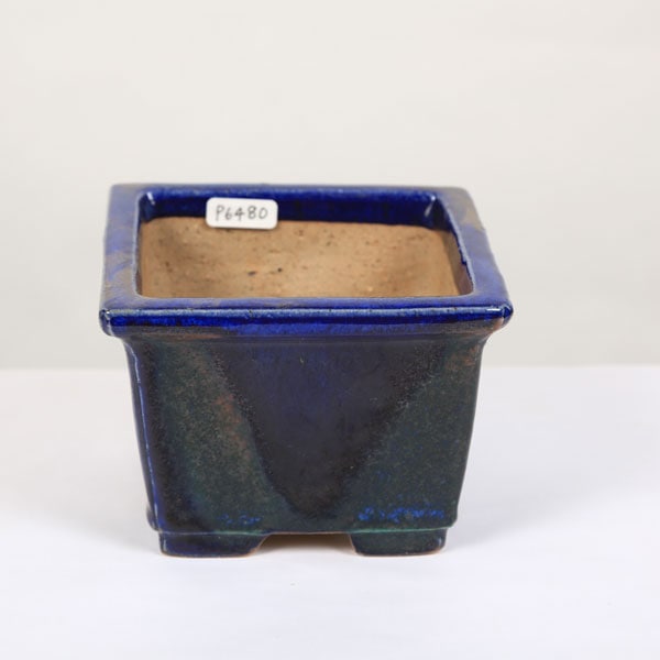 現代小鉢：樹晃 正方鉢 10.7cm【現】 | すべての商品 | 遊恵盆栽 本店