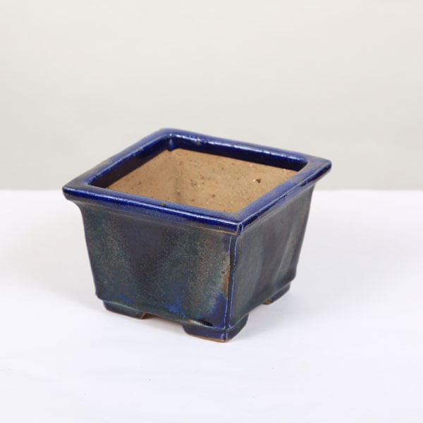 現代小鉢：樹晃 正方鉢 10.7cm【現】 | すべての商品 | 遊恵