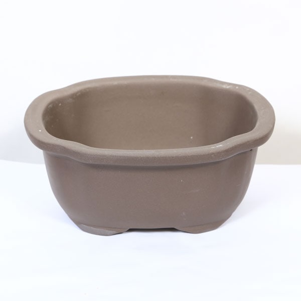 国産鉢：土物モッコ鉢 6号 20cm*資材 | すべての商品 | 遊恵盆栽 本店