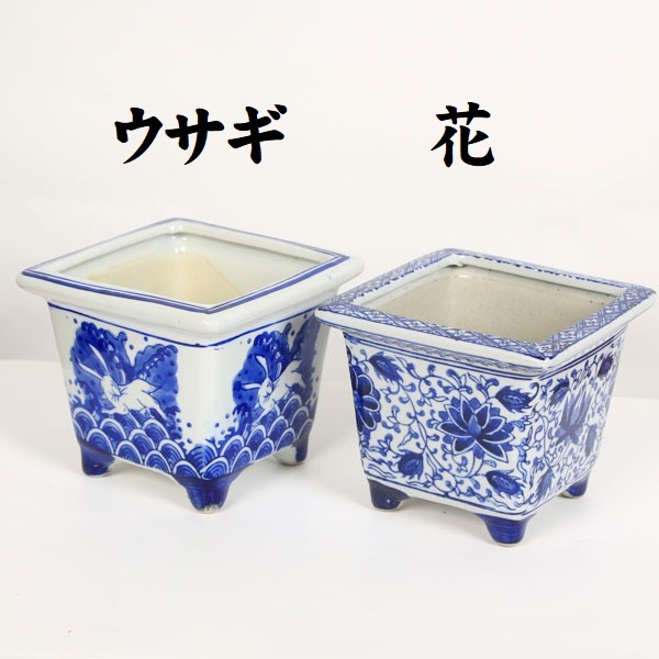 鉢：縁付正方絵柄鉢 4号*資材 14cm | すべての商品 | 遊恵盆栽 本店