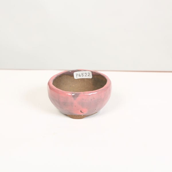 豊千 ミニ盆栽鉢