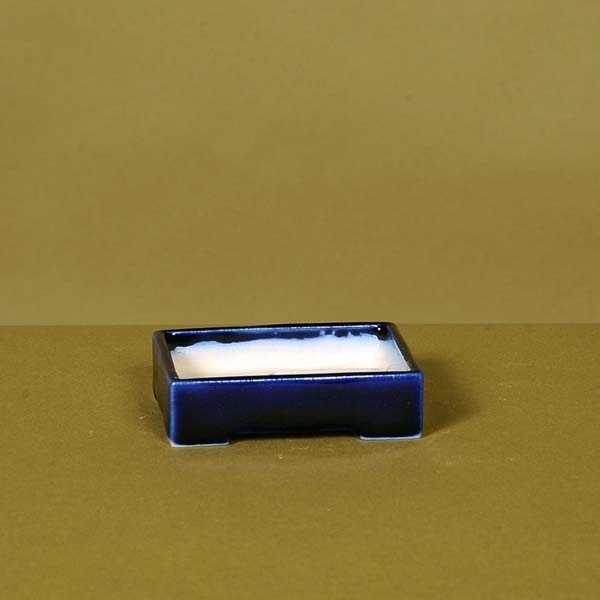 栽小鉢：次峯 長方切立鉢 7.2cm【現】 | 盆栽鉢・水盤,現代小鉢,次峯