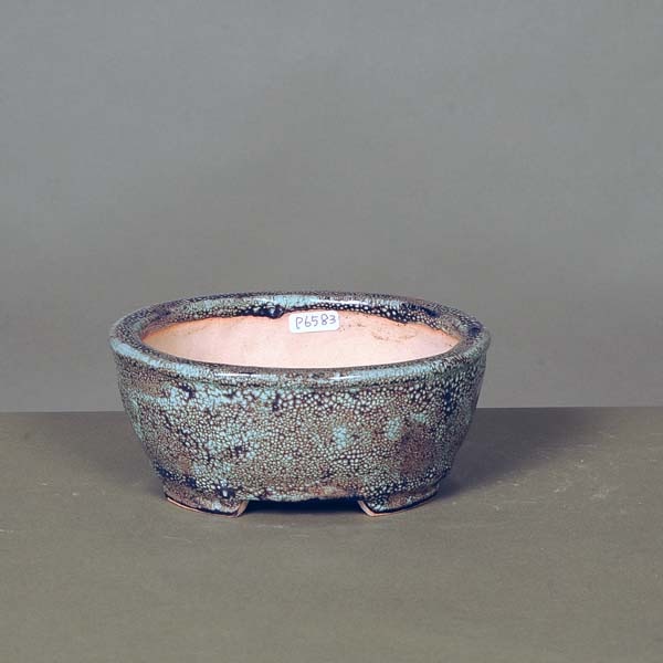現代小鉢：浜重兵衛(じゅうべい)楕円鉢 14.5cm【現】 | 盆栽鉢・水盤