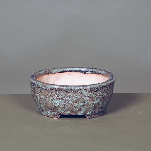 現代小鉢：浜重兵衛(じゅうべい)楕円鉢 14.5cm【現】 | 盆栽鉢・水盤