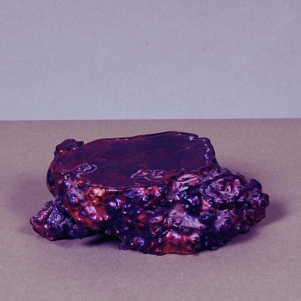 ������������17.0cm�ڸ��ʡ�*���