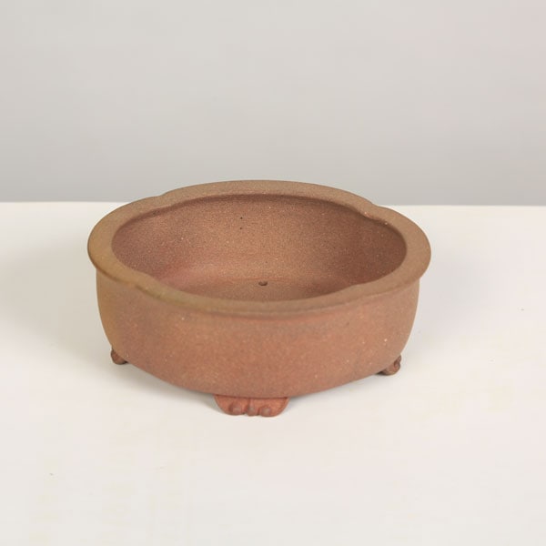 盆栽小鉢：次峯 土物モッコ鉢 10.6cm【現】 | すべての商品 | 遊恵盆栽