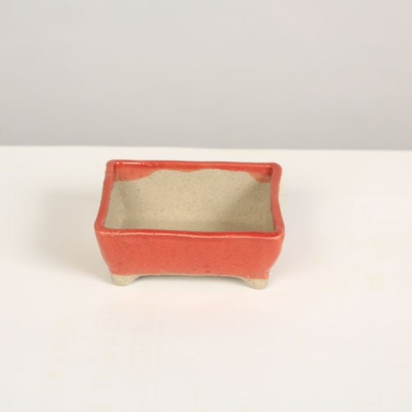 祥石長方鉢 現代小鉢：祥石(二代目)ゆうき 長方鉢 8.1cm【現】 | すべての商品
