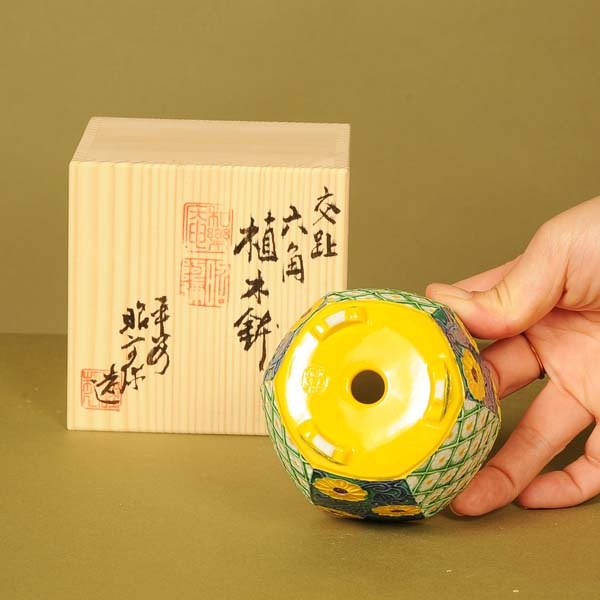 昭阿弥 六角鉢 8.3cm【現】 | すべての商品 | 遊恵盆栽 本店