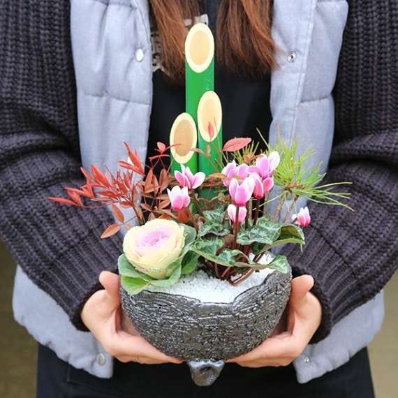 迎春：ミニ門松*寒水とピック付き【和風信楽焼鉢】bonsai | 迎春 門松