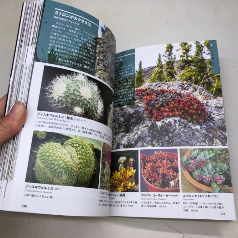 多肉植物　6点　まとめ出品 本：決定版 多肉植物図鑑*資材 | 書籍,各種書籍 | 遊恵盆栽 本店