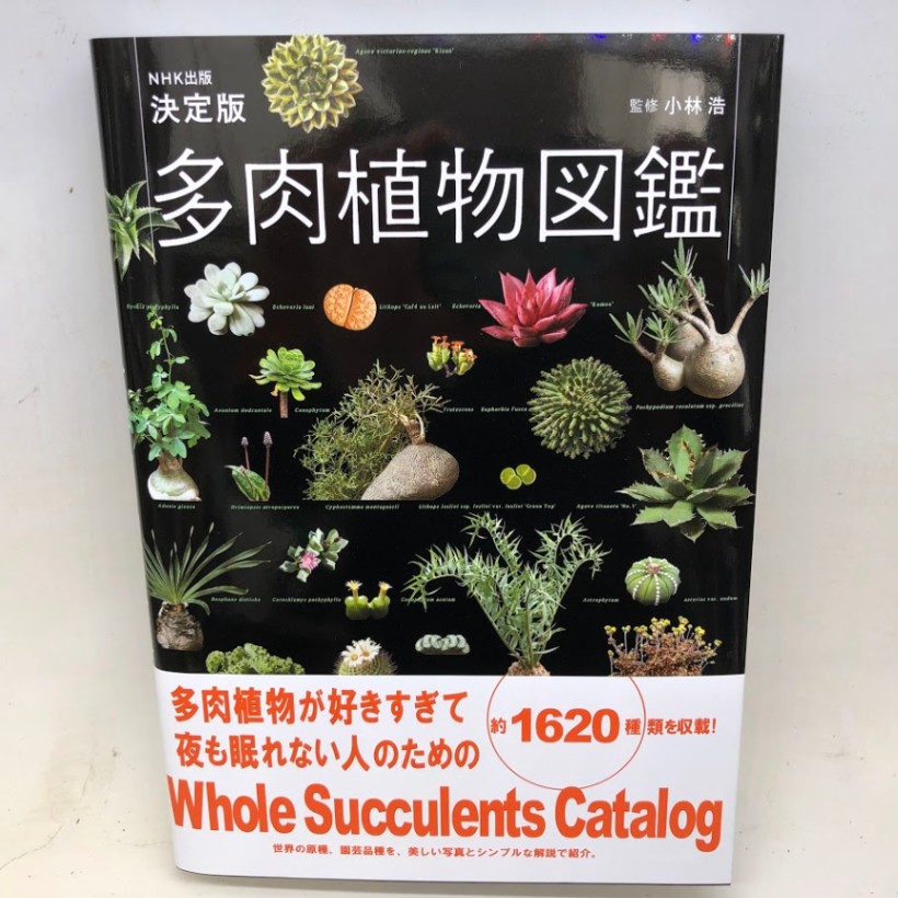本：決定版 多肉植物図鑑*資材 | 書籍,各種書籍 | 遊恵盆栽 本店