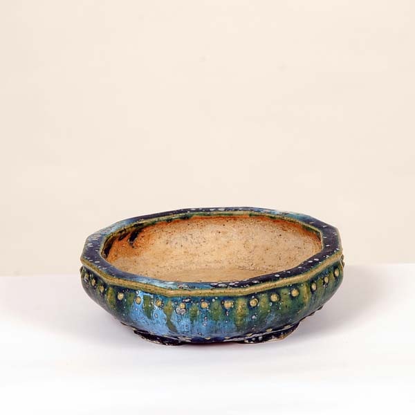 現代小鉢：鴻陽 丸鉢 12.6cm【現】 | すべての商品 | 遊恵盆栽 本店