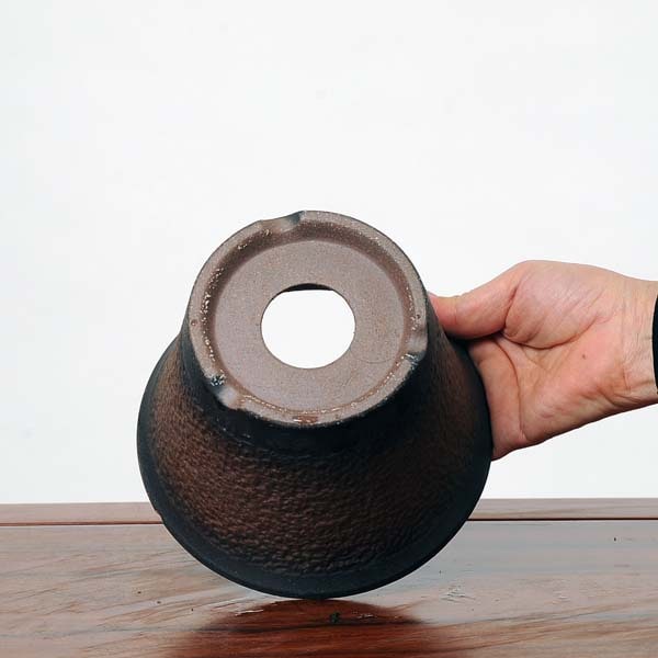 鉢：瀬戸焼深鉢 16cm 5号*資材 | すべての商品 | 遊恵盆栽 本店