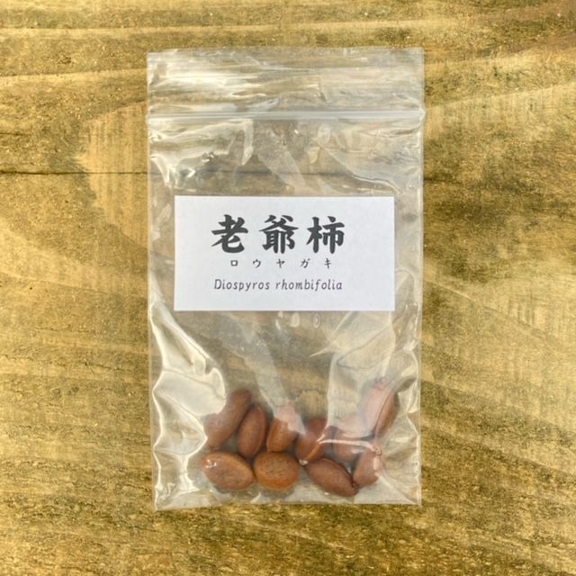 老爺柿の種　700個　品種色々 老爺柿の種 700個 品種色々 遊恵盆栽:種子 老爺柿*（ロウヤガキ/ろう