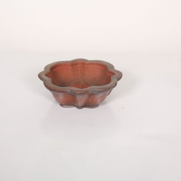 盆栽小鉢:美芸(常滑)輪花鉢 6.4cm | すべての商品 | 遊恵盆栽 盆栽小鉢:美芸(常滑)輪花鉢 6.4cm | すべての商品 | 遊恵盆栽