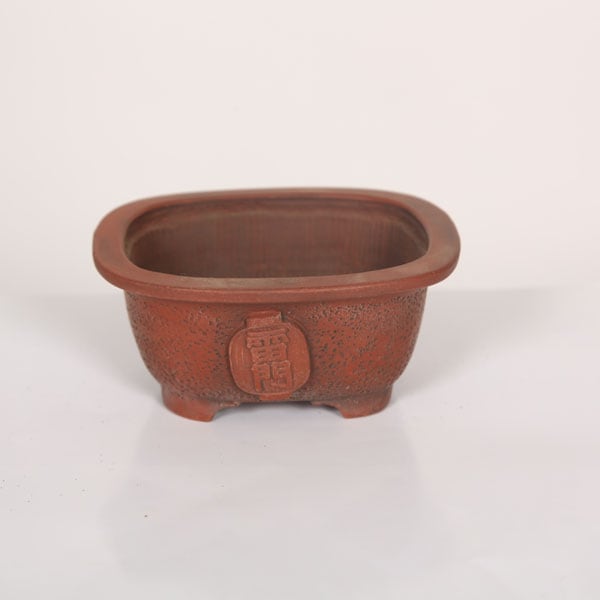 盆栽小鉢：美芸（常滑）長方エン付入窓彫入 9.8cm | すべての