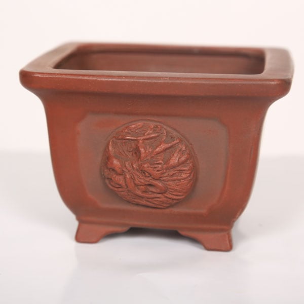 盆栽小鉢：美芸（常滑）正角半ケン内窓竜付鉢 9.8cm | すべての商品