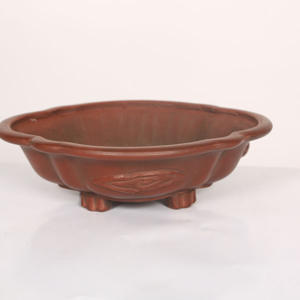 盆栽小鉢：美芸（常滑）モッコ形足付浅龍付鉢 21.9cm | すべての商品