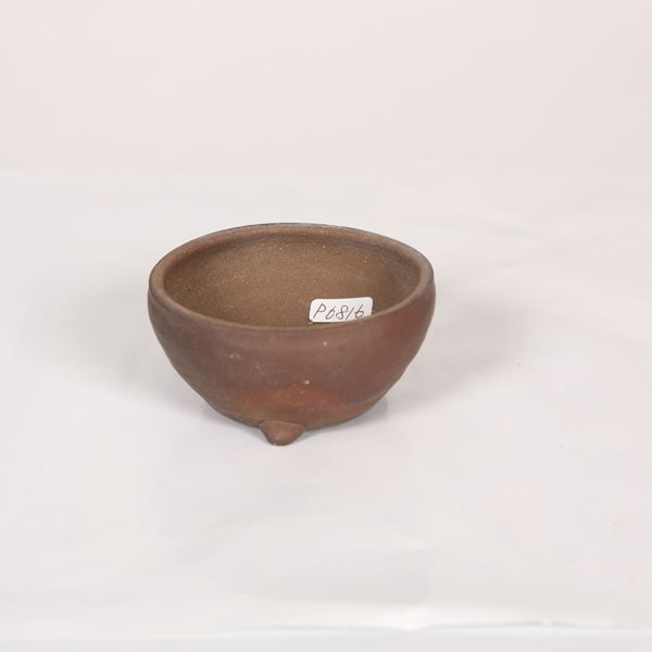 現代小鉢：丹波立杭焼 丹満 8.2cm【現】 | すべての商品 | 遊恵盆栽 本店
