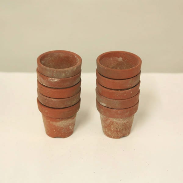 ȭ������šۡ����ǾƤ�ȭ  �벹��2�濼��10�ĥ��å�*���