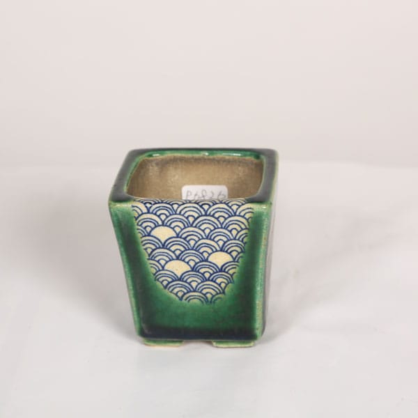 盆栽小鉢：真山（まざん）正方鉢 6.5cm 【現品】 | すべての商品