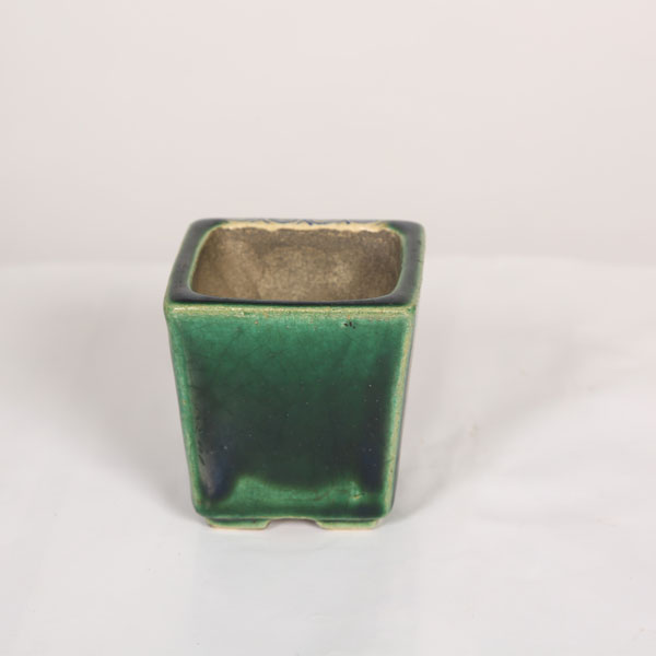 盆栽小鉢：真山（まざん）正方鉢 6.5cm 【現品】 | すべての商品