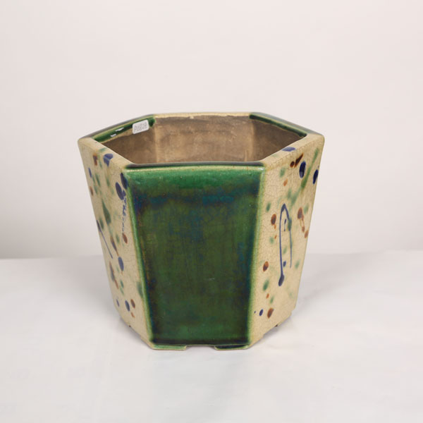 盆栽小鉢：真山（まざん）里美 六角鉢 18.0cm 【現品】 | すべて