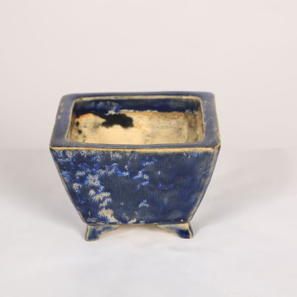 樹晃　正方　盆栽鉢 樹晃 正方 盆栽鉢