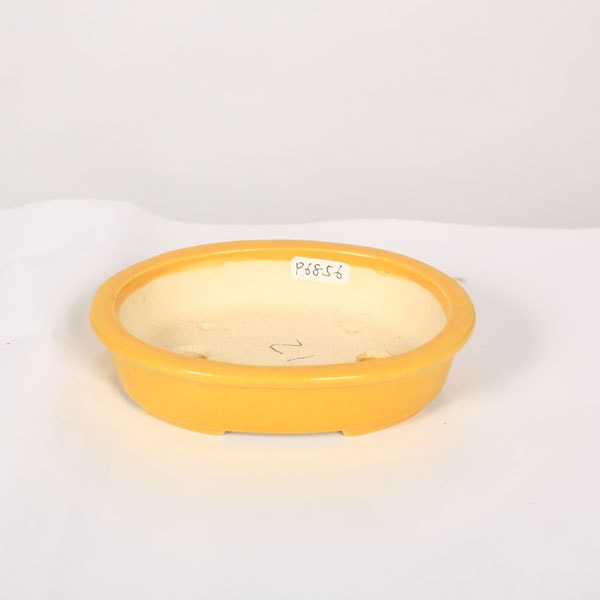 盆栽鉢鴻陽 現代小鉢：鴻陽 楕円鉢 12.4cm【現】 | すべての商品 | 遊恵盆栽 本店