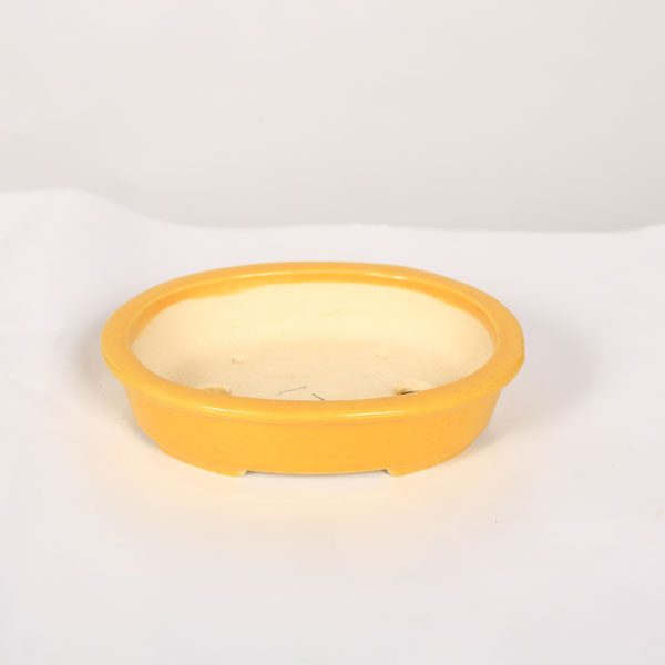 盆栽鉢鴻陽 鴻陽 盆栽鉢 000000009445_1_RIWgGHe.jpg