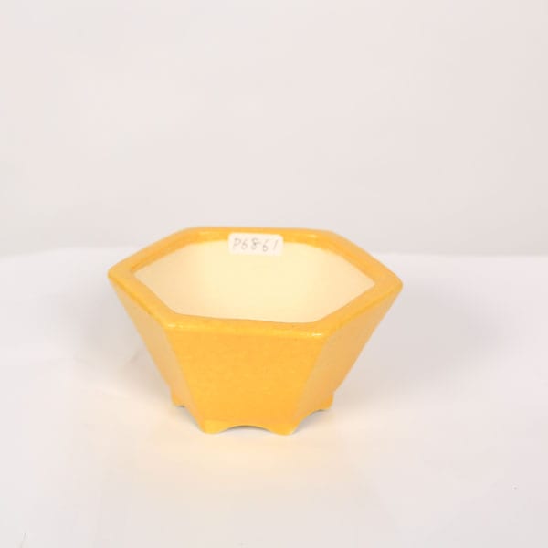 六角　盆栽鉢　黄 現代小鉢：鴻陽 六角鉢 10.5cm【現】 | すべての商品 | 遊恵盆栽 本店