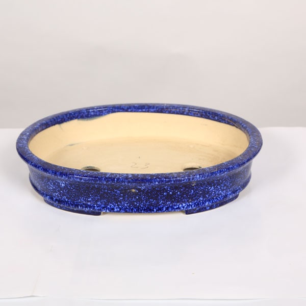 現代小鉢：鴻陽 楕円鉢 24.8cm【現】 | すべての商品 | 遊恵盆栽 本店