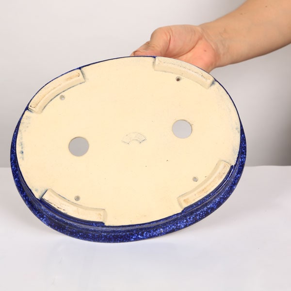 現代小鉢：鴻陽 楕円鉢 24.8cm【現】 | すべての商品 | 遊恵盆栽 本店