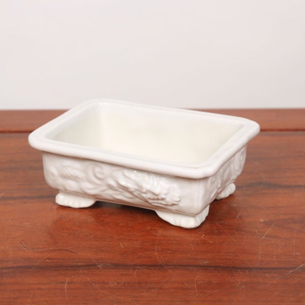 鉢：禎山 白磁長方鉢 12.4cm*資材 | すべての商品 | 遊恵盆栽 本店