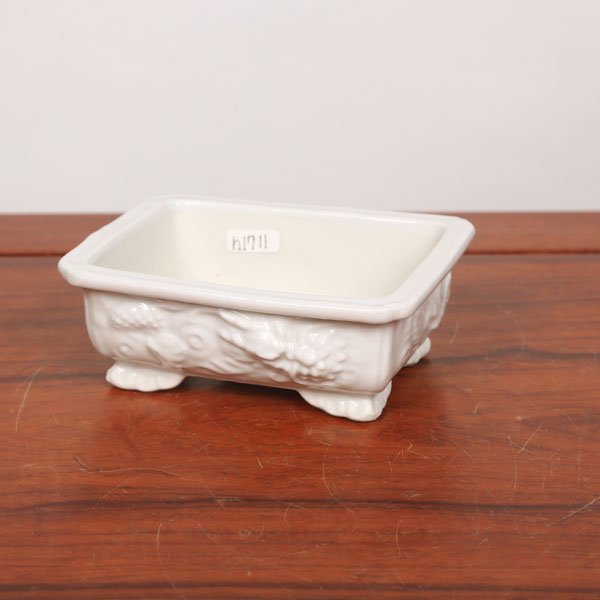 鉢：禎山 白磁長方鉢 12.4cm*資材 | すべての商品 | 遊恵盆栽 本店