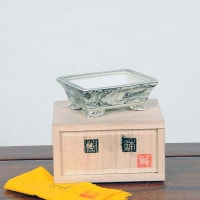 小品盆栽鉢　盆栽鉢　佑泉 000000009490_1_32pTzEv_thumb.jpg