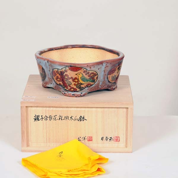 現代小鉢：月香 モッコ鉢 15.2cm【現】 | すべての商品 | 遊恵盆栽 本店