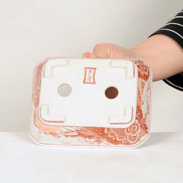 現代小鉢：月香 長方鉢 14.6cm【現】 | すべての商品 | 遊恵盆栽