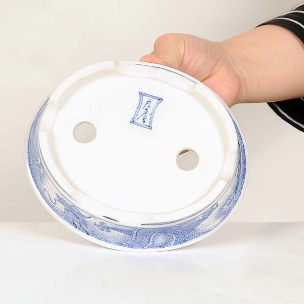 現代小鉢：月香 楕円鉢 16.0cm【現】 | すべての商品 | 遊恵盆栽 本店