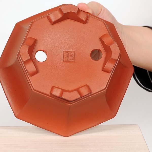 現代小鉢：壱興 八角鉢 18.0cm【現】 | すべての商品 | 遊恵盆栽 本店