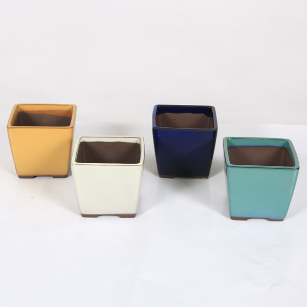 ȭ��������ȭ��3�桡8.5cm*���