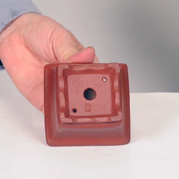 現代小鉢：柴勝 正方鉢 7.8cm【現】 | すべての商品 | 遊恵盆栽 本店