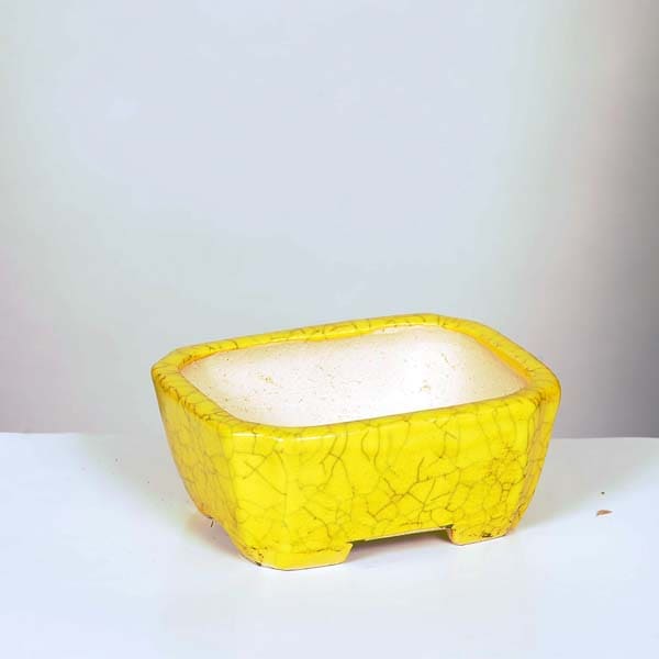 柴勝黄色長方鉢